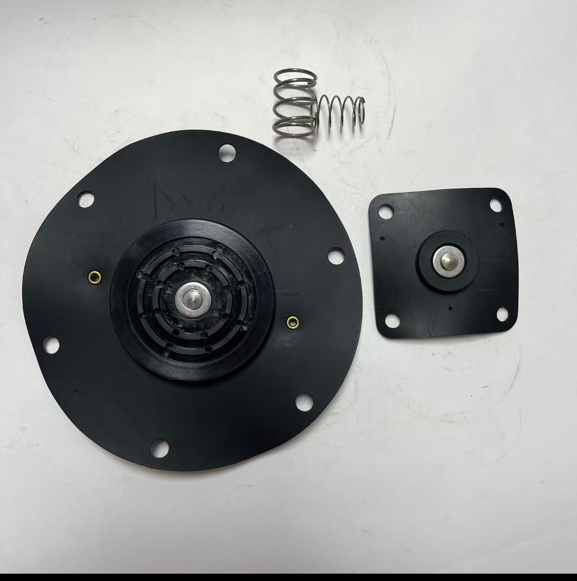 1247732 2'' Pulsus Valvae Diaphragma Repair Kits 8493635