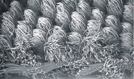 Intellectus filter panno tincto genera: differences et commoda