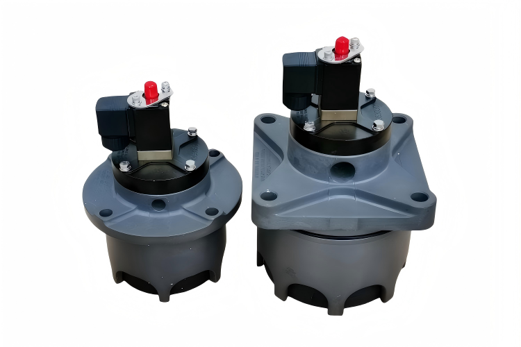 Quae sunt vitia valvularum venarum communia? Quomodo possunt cito dignosci et resolvi?