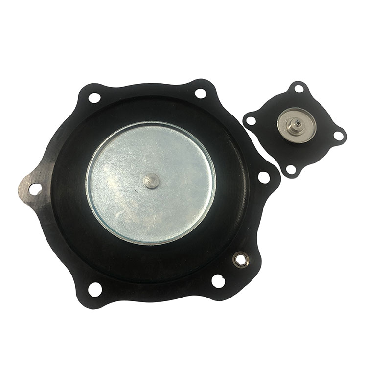 II inch diaphragm Restituo ornamentum