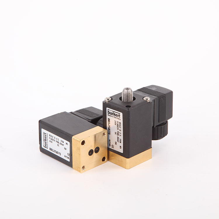 DC24V Solenoid gubernator valvae