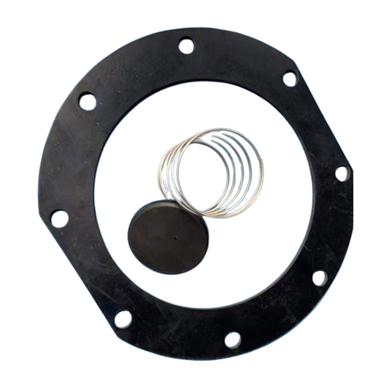 Flakt Diaphragm Restituo partes ornamentum