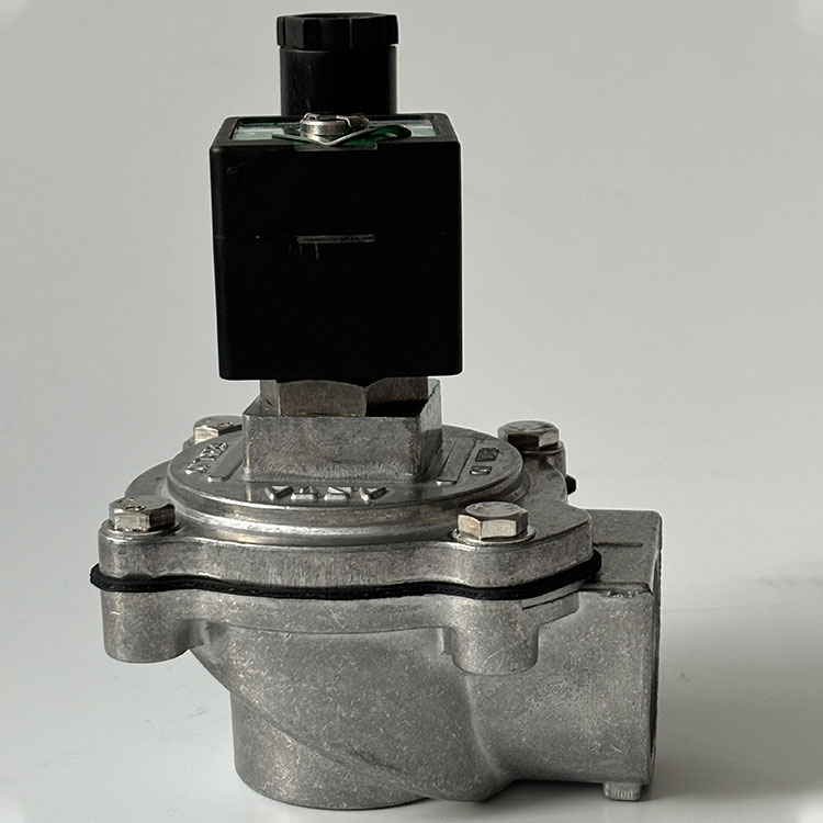 G1 Flat pulsum valvae