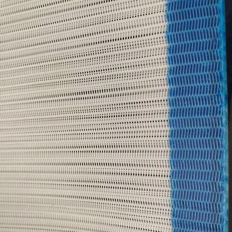 Petr spiralis filter-torcular reticulum