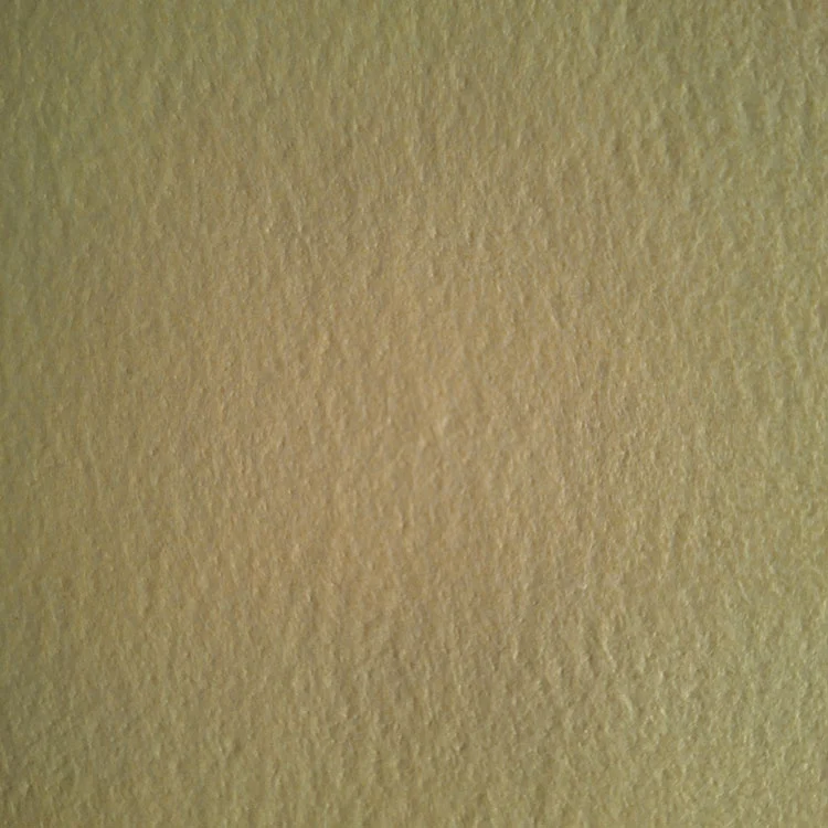 PPS foramen acus transire cum PTFE membrana