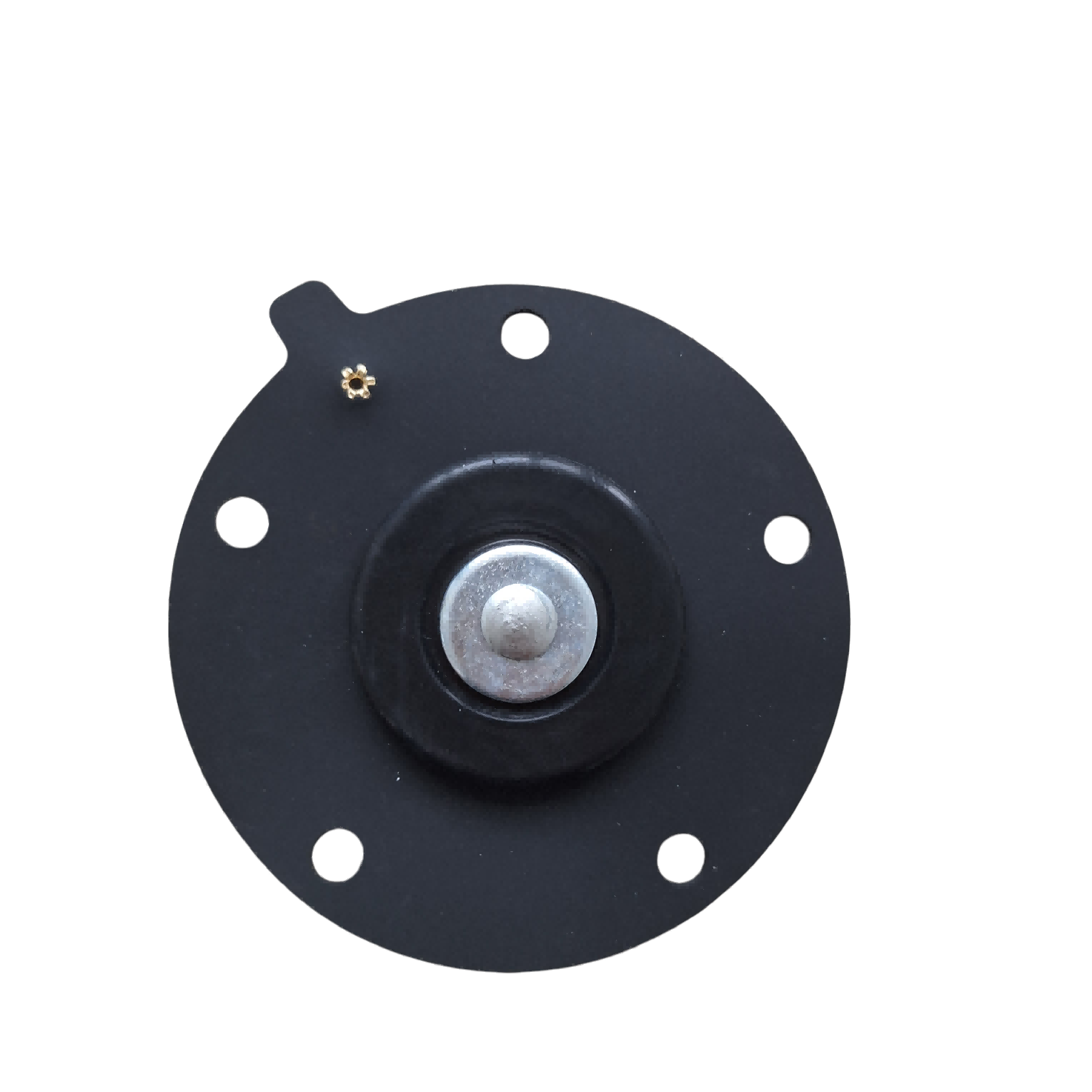 SBFEC 1'' Pulsus Valvae Diaphragma Kit D25