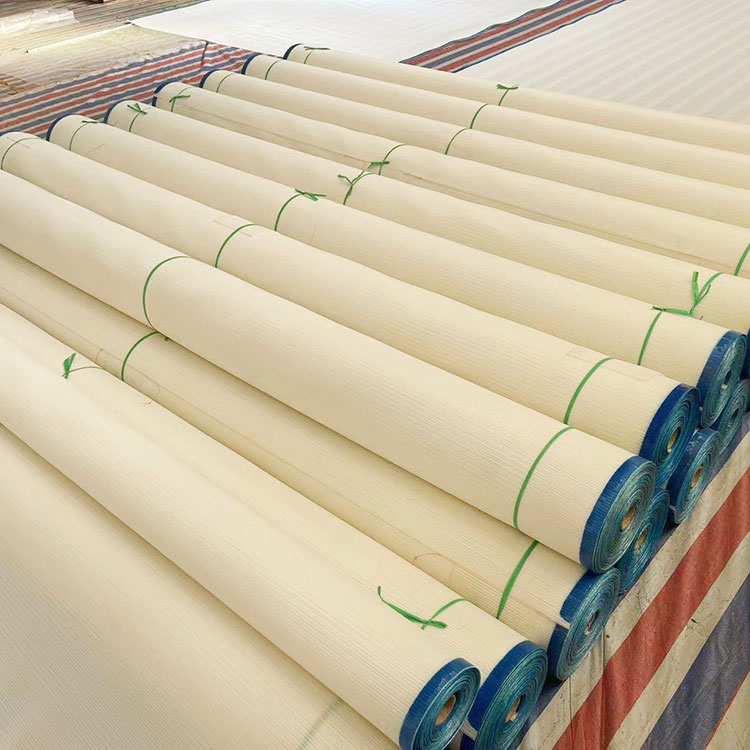 Vacuum filter balteus
